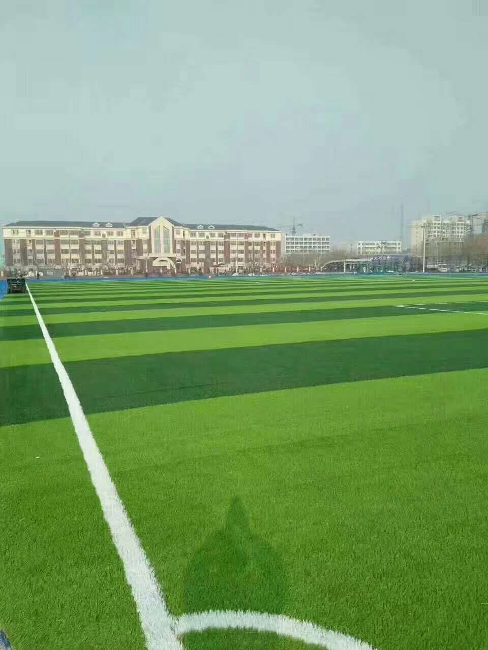 合肥市塑胶颗粒仿真草坪 - 价格